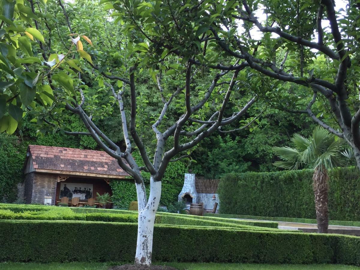 Aragvi Valley Βίλα Tsitelsopeli Εξωτερικό φωτογραφία