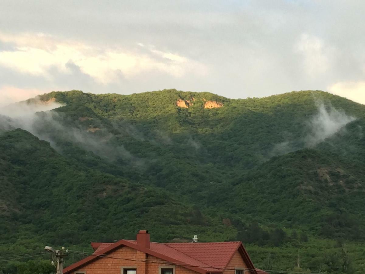 Aragvi Valley Βίλα Tsitelsopeli Εξωτερικό φωτογραφία